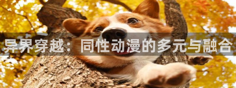 最新里番：异界穿越：同性动漫的多元与融合
