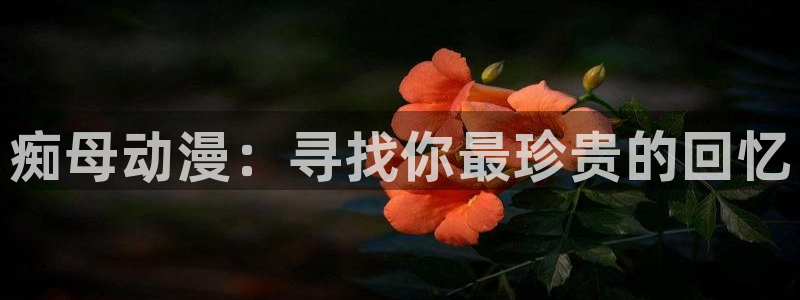 少女里番漫画：痴母动漫：寻找你最珍贵的回忆