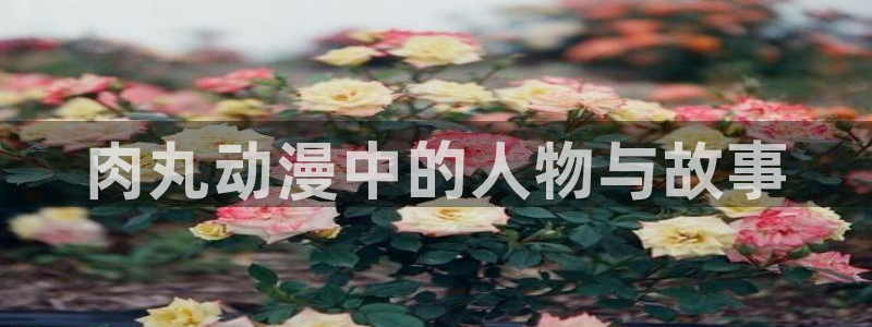 3d动画里番：肉丸动漫中的人物与故事