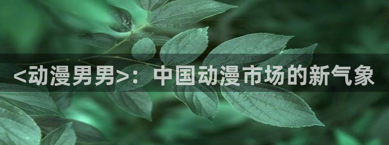 里番动漫火影忍者：<动漫男男>：中国动漫市场的新气象