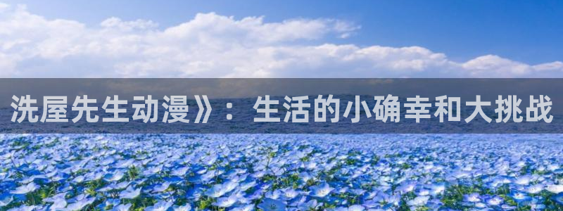动漫里番本子库：洗屋先生动漫》：生活的小确幸和大挑战