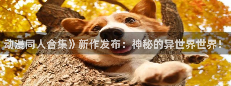 动漫里番xxx：动漫同人合集》新作发布：神秘的异世界世界！