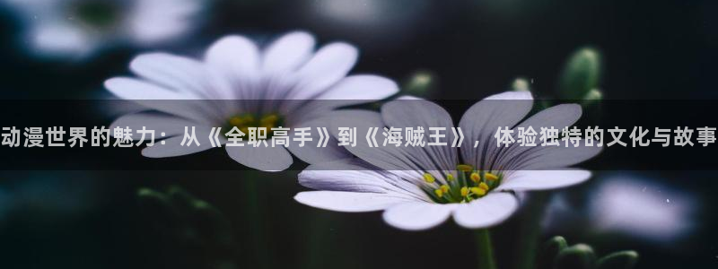 里番绅士漫画：动漫世界的魅力：从《全职高手》到《海贼王》，体验独特的文化与故事