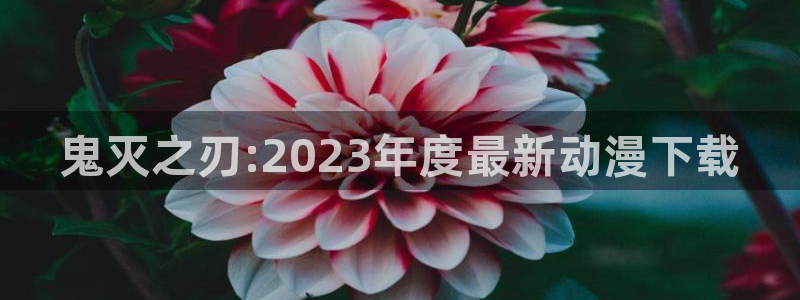 里番动漫中文字幕：鬼灭之刃:2023年度最新动漫下载