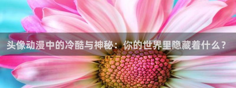 里番动漫acg网：头像动漫中的冷酷与神秘：你的世界里隐藏着什么？